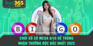 Mega 6/45