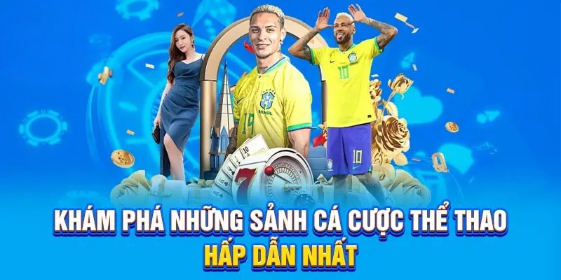 Khám phá những sảnh cá cược thể thao hấp dẫn nhất
