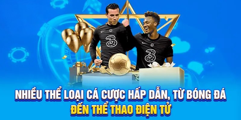 Nhiều thể loại cá cược hấp dẫn, từ bóng đá đến thể thao điện tử.