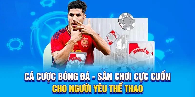 cá cược bóng đá